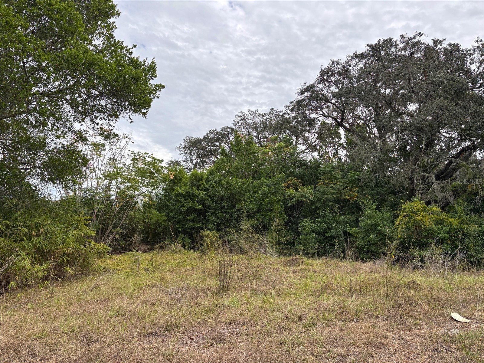 6330 Kelvin Court Spring Hill FL 34606 W7881538 image3