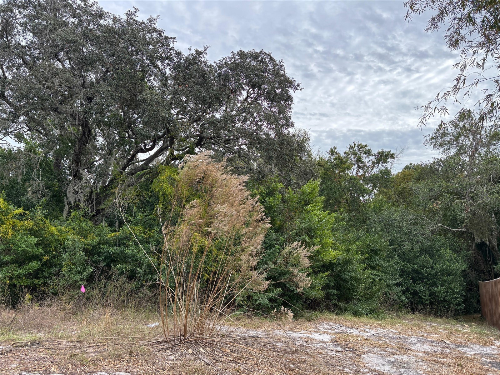 6330 Kelvin Court Spring Hill FL 34606 W7881538 image4