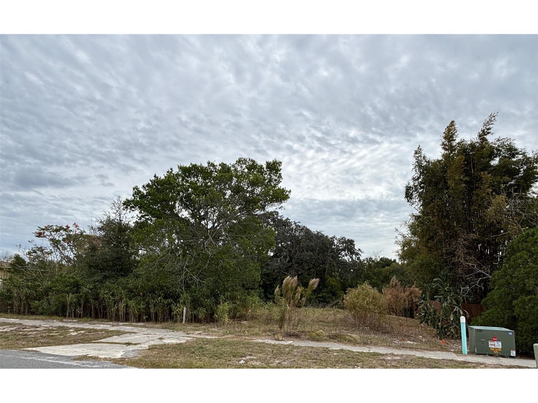 6330 Kelvin Court Spring Hill FL 34606 W7881538 image5