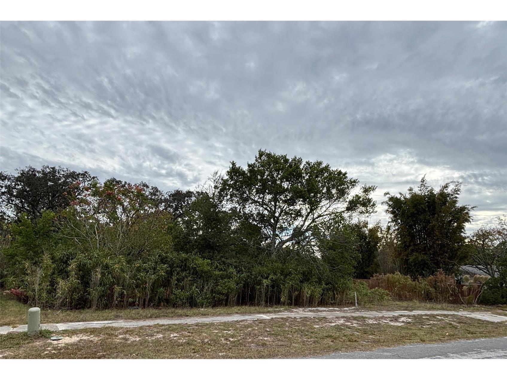 6330 Kelvin Court Spring Hill FL 34606 W7881538 image6