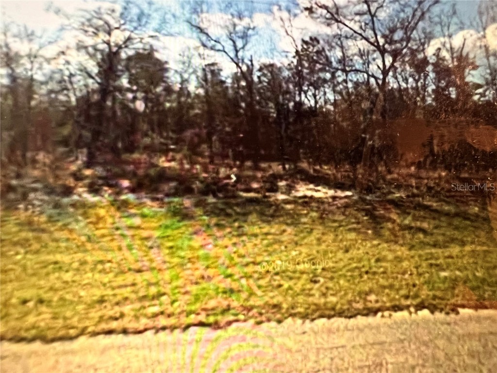 6330 N Bedstrow Boulevard Citrus Springs FL 34434 O6100455 image1