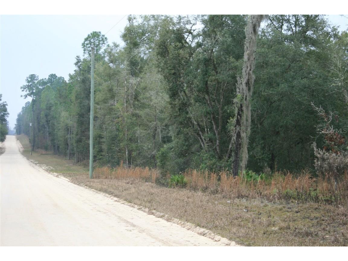 6330 NE 133rd Avenue Williston FL 32696 OM633966 image1