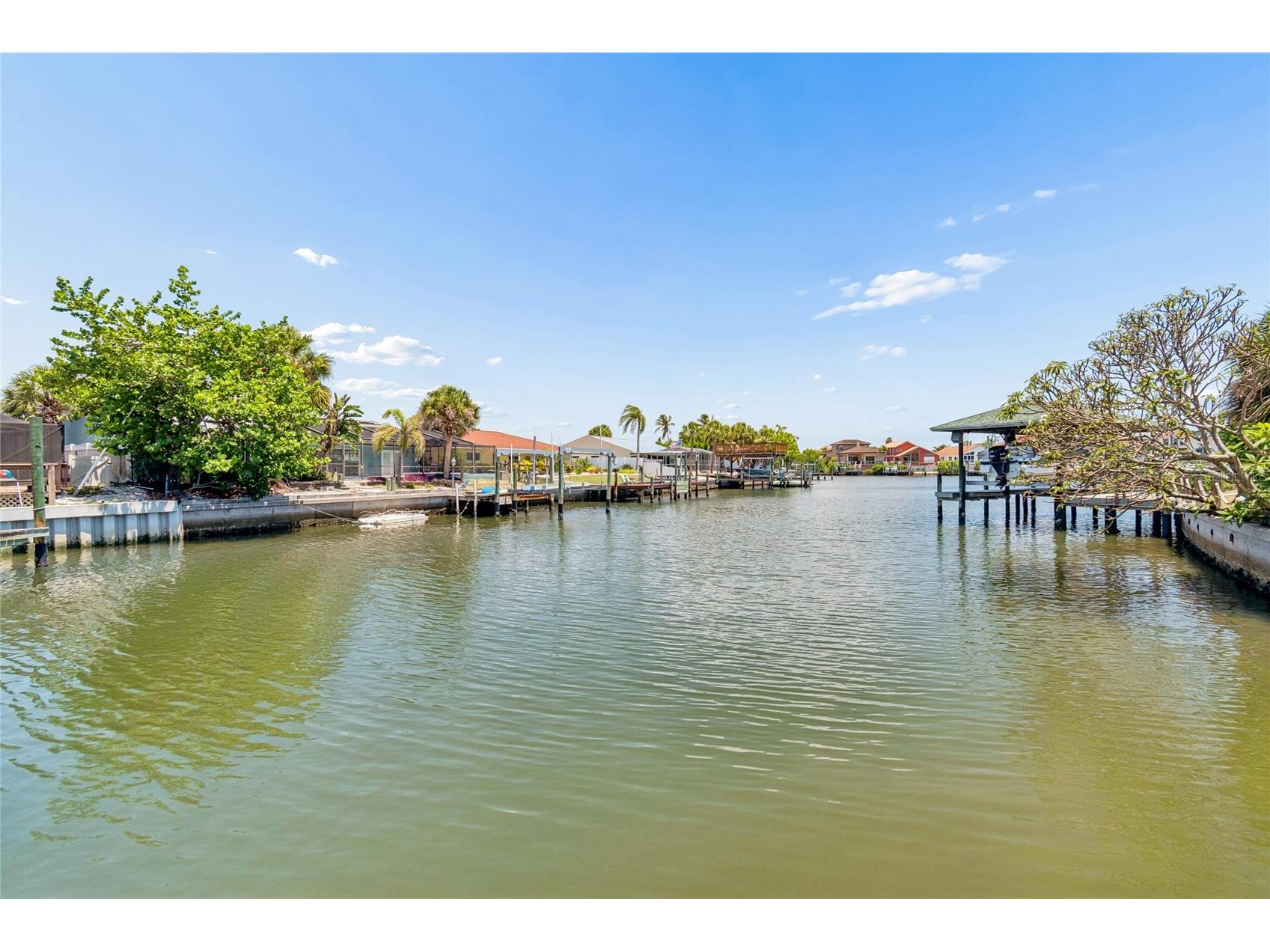 6331 Cocoa Lane Apollo Beach FL 33572 TB8522652 image57