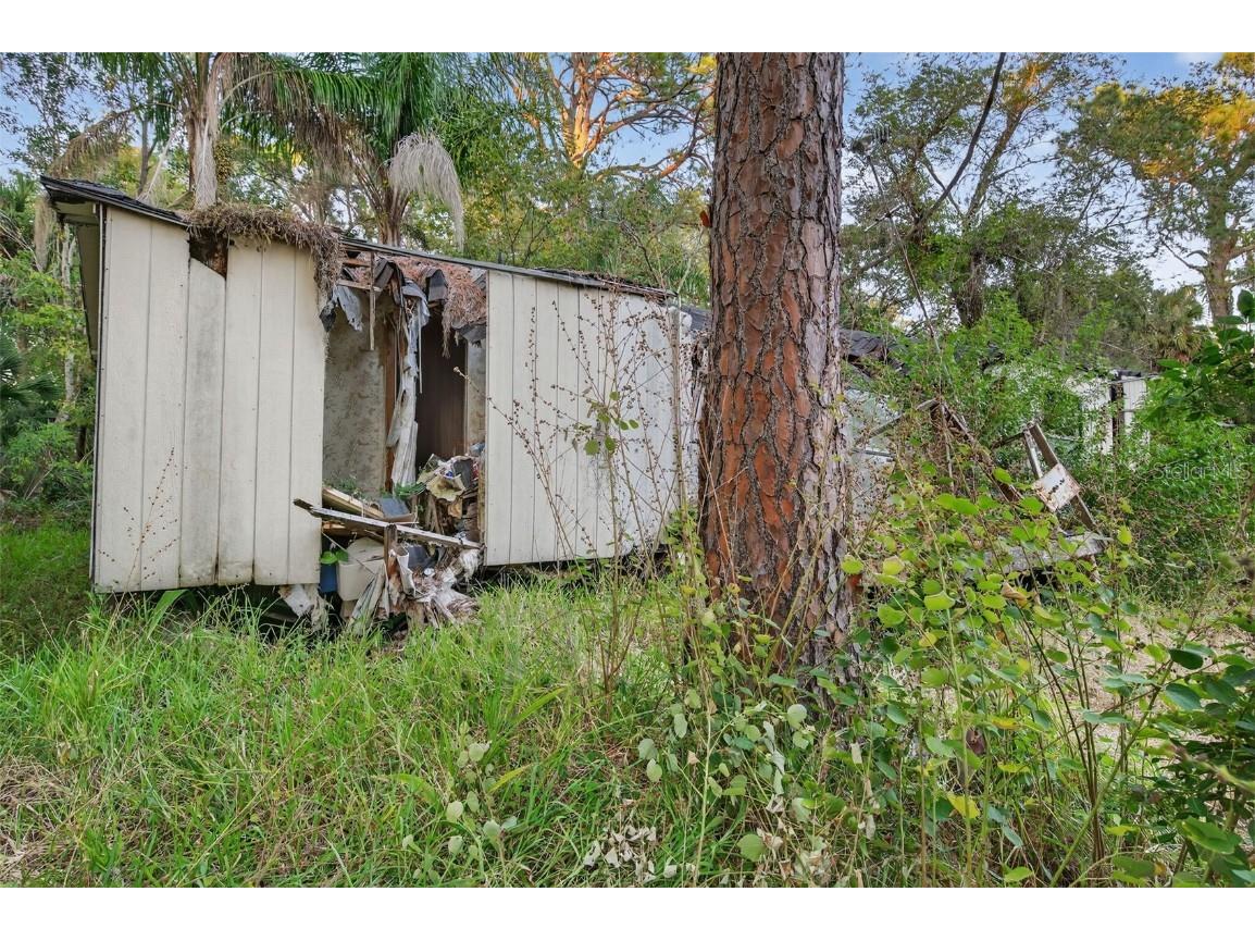 6331 Lost Trail Holiday FL 34690 W7880757 image11