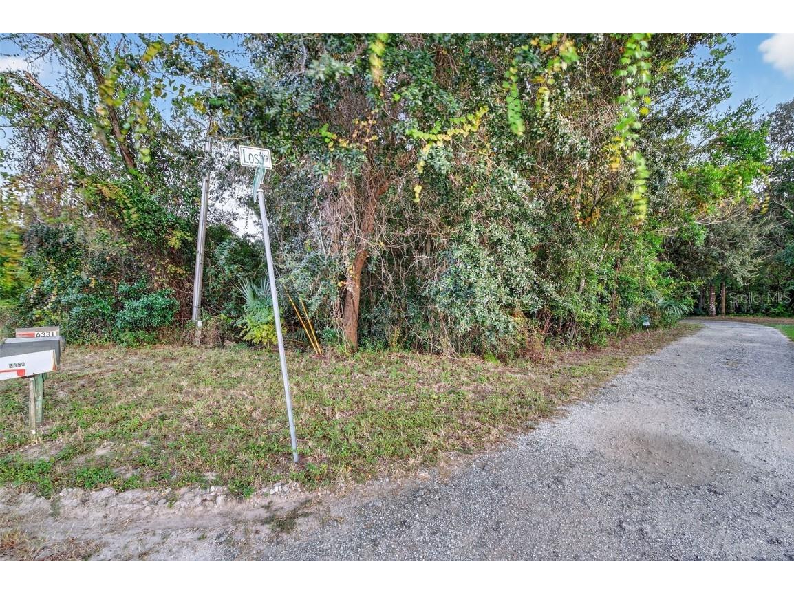 6331 Lost Trail Holiday FL 34690 W7880757 image13
