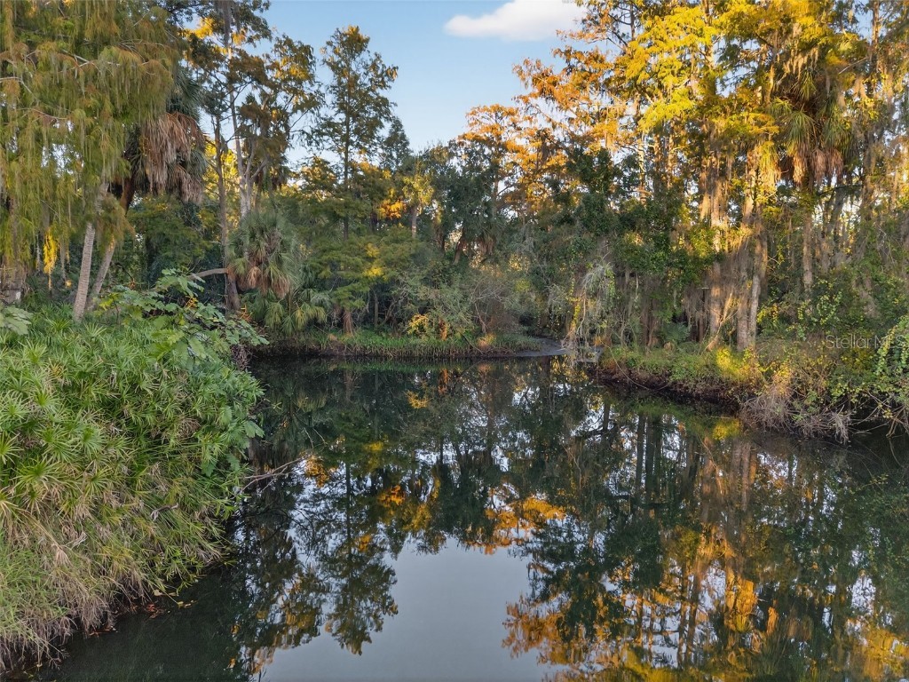 6331 Lost Trail Holiday FL 34690 W7880757 image15