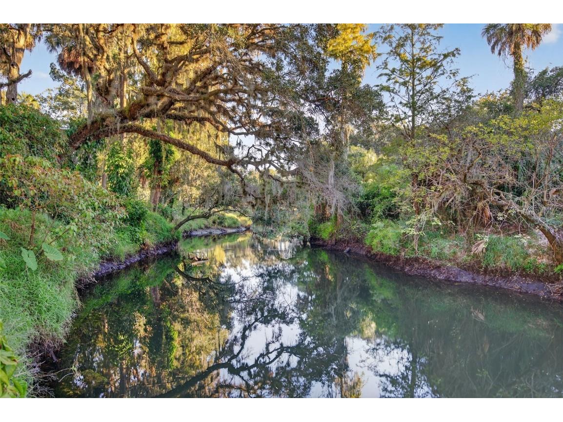 6331 Lost Trail Holiday FL 34690 W7880757 image17