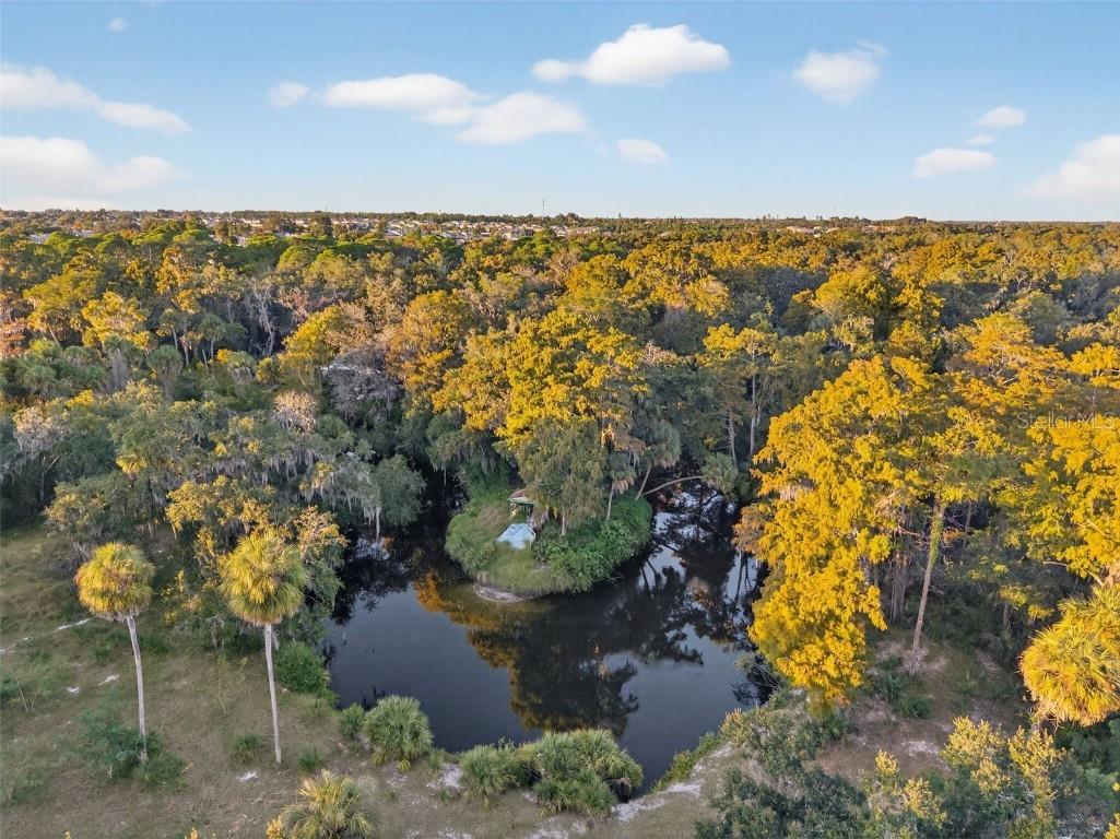 6331 Lost Trail Holiday FL 34690 W7880757 image3