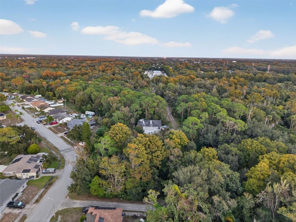 6331 Lost Trail Holiday FL 34690 W7880757 image5