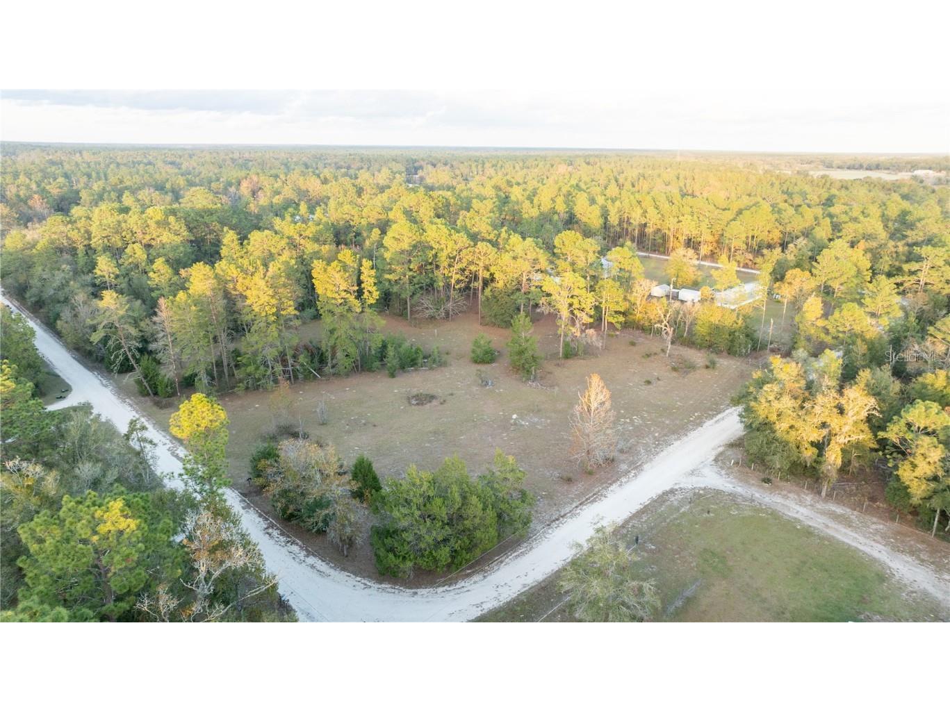 6331 NE 98th Court Bronson FL 32621 OM690390 image1