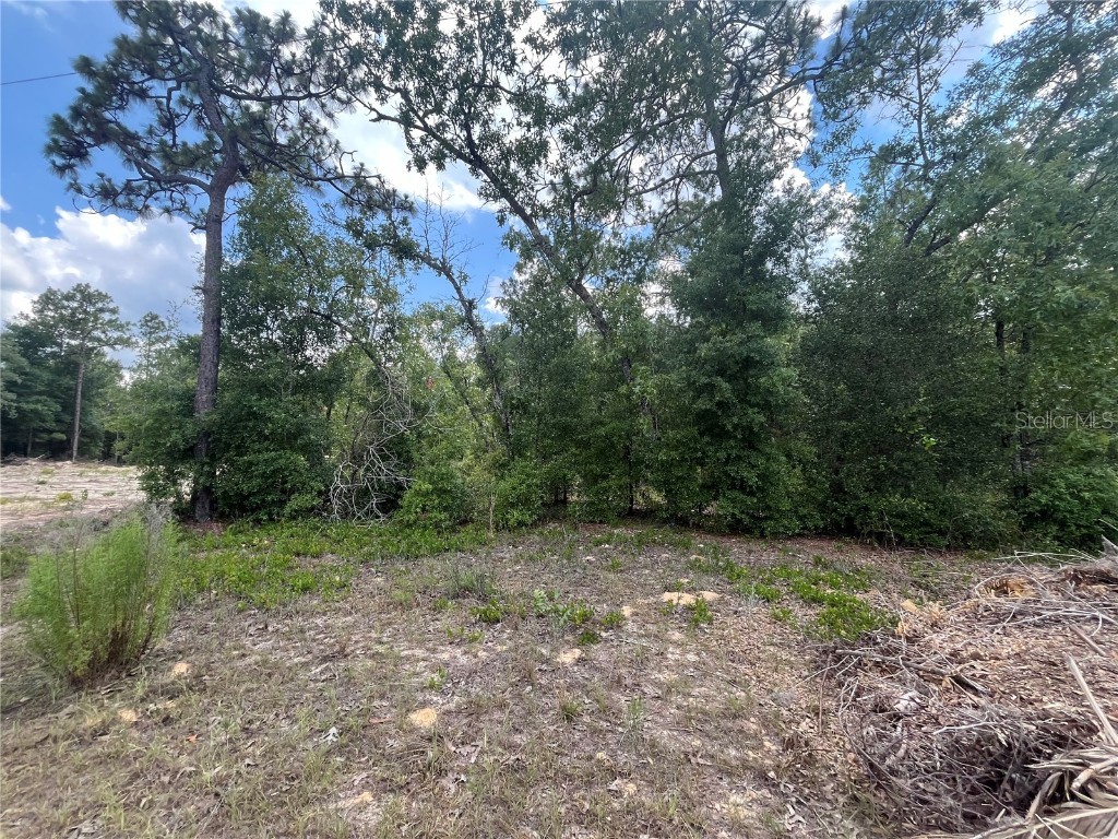 6331 Reed Drive Keystone Heights FL 32656 OK224122 image1