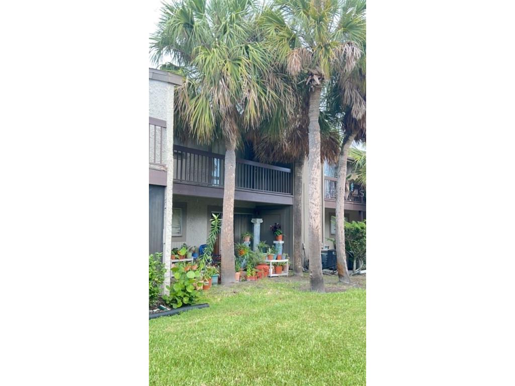 6332 Newtown Circle #32B5 Tampa FL 33615 TB8406498 image31