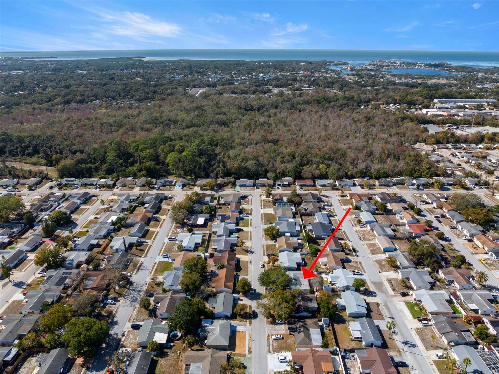 6333 Aberdeen Avenue New Port Richey FL 34653 TB8467231 image37