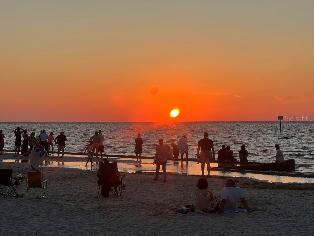 6333 Bear Trail Weeki Wachee FL 34607 TB8440441 image31