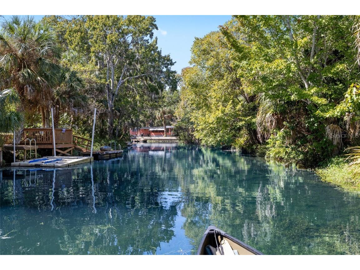 6333 Bear Trail Weeki Wachee FL 34607 TB8440441 image5