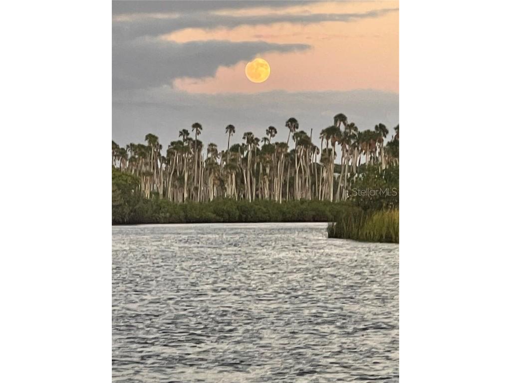 6333 Bear Trail Weeki Wachee FL 34607 TB8440441 image50