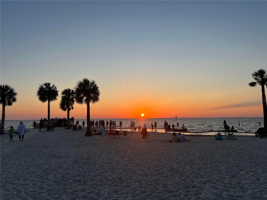 6333 Bear Trail Weeki Wachee FL 34607 TB8440441 image51