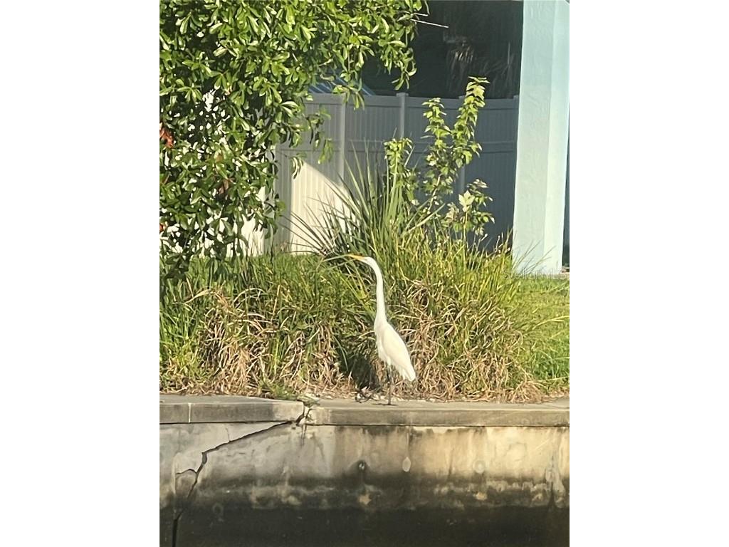 6333 Bear Trail Weeki Wachee FL 34607 TB8440441 image53