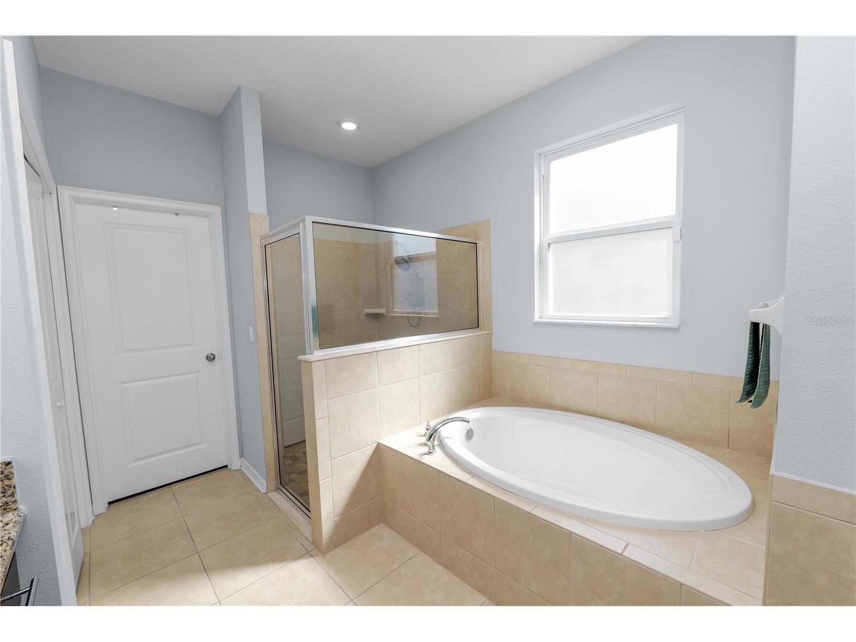 6333 Doe Path Court Wesley Chapel FL 33545 TB8479502 image36