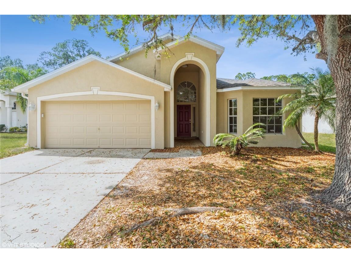 6333 Open Pasture Court Wesley Chapel FL 33545 T3432942 image1