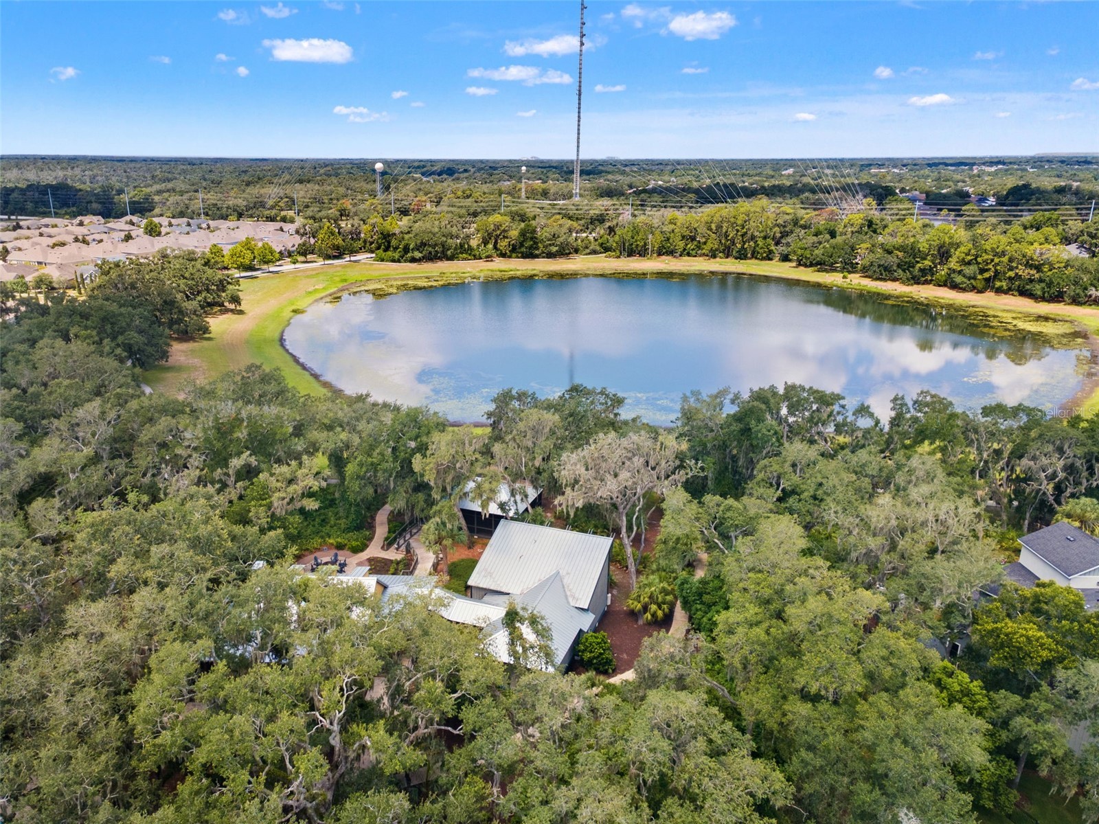6334 Knob Tree Drive Lithia FL 33547 TB8522931 image10