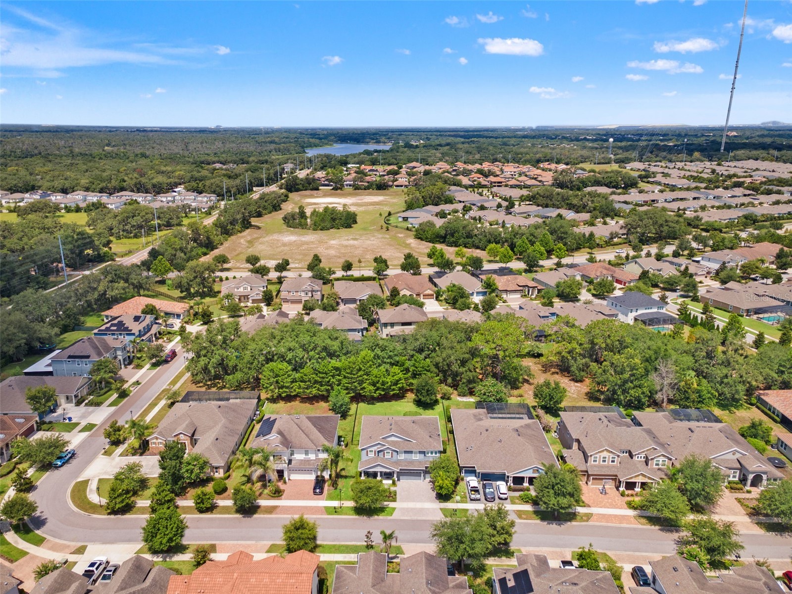 6334 Knob Tree Drive Lithia FL 33547 TB8522931 image13