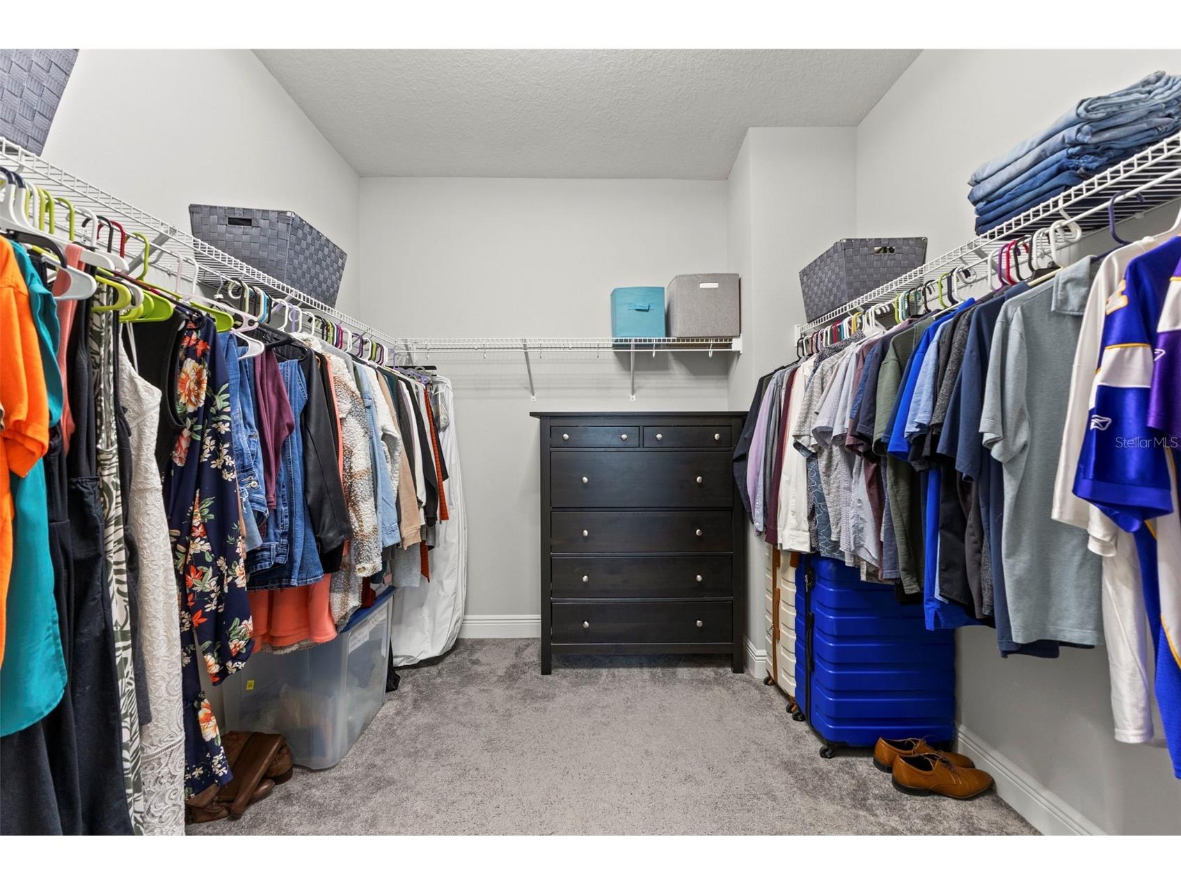 6334 Knob Tree Drive Lithia FL 33547 TB8522931 image39