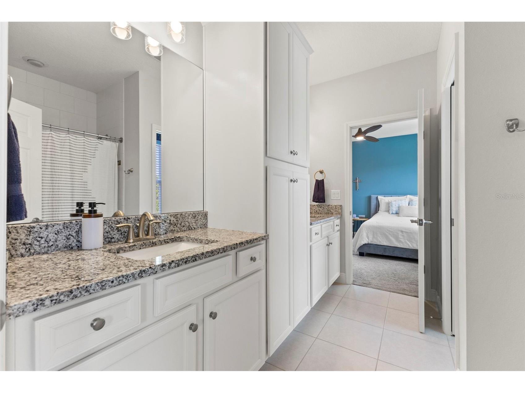 6334 Knob Tree Drive Lithia FL 33547 TB8522931 image43