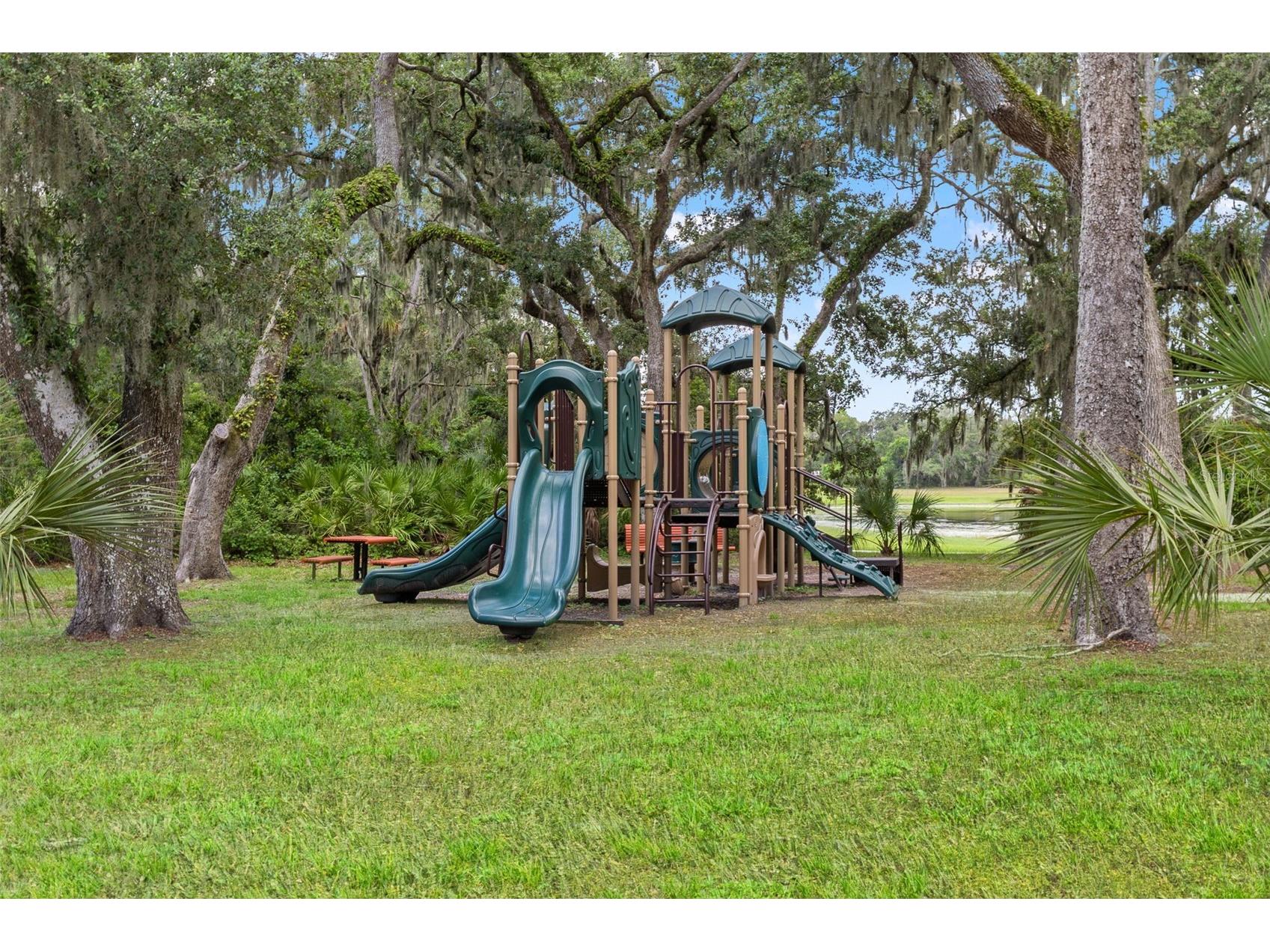 6334 Knob Tree Drive Lithia FL 33547 TB8522931 image62