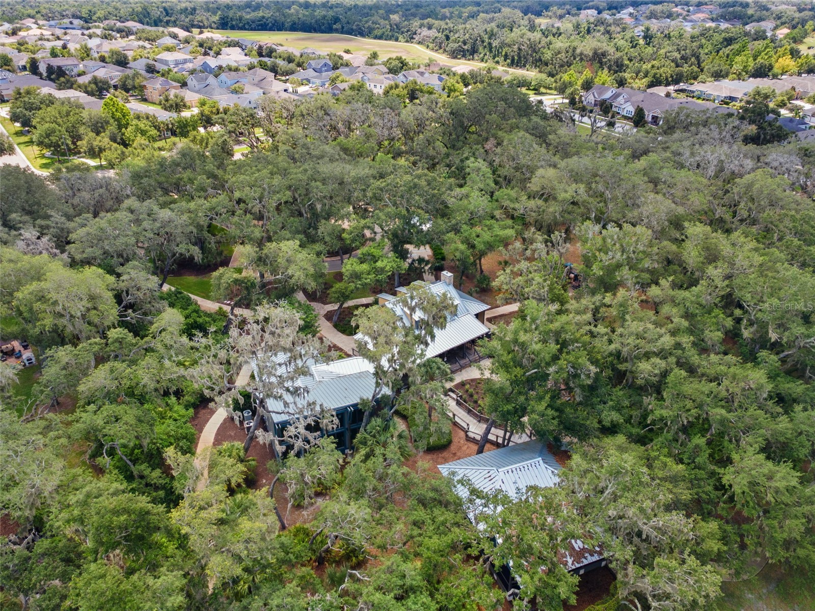 6334 Knob Tree Drive Lithia FL 33547 TB8522931 image67