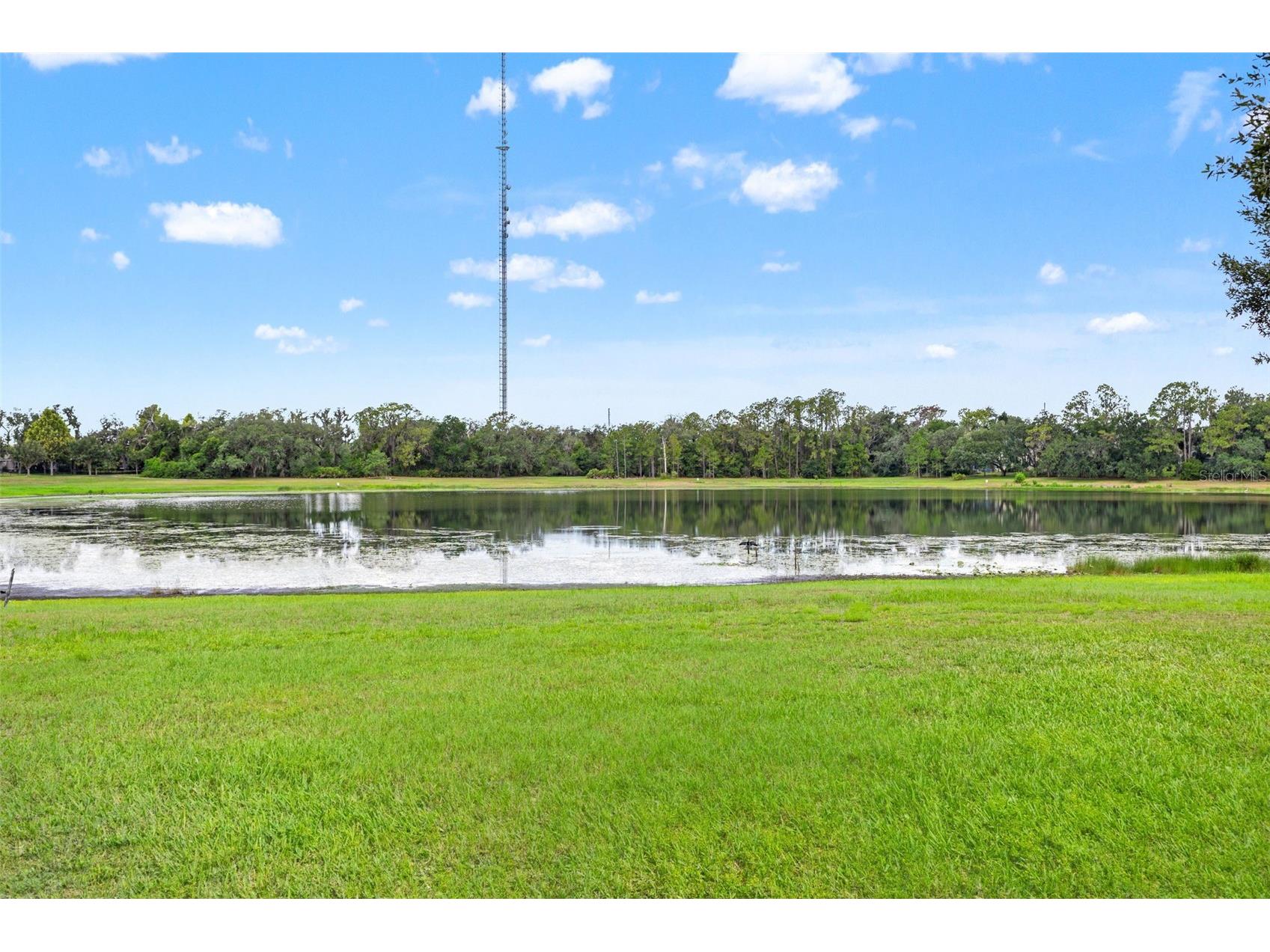6334 Knob Tree Drive Lithia FL 33547 TB8522931 image69