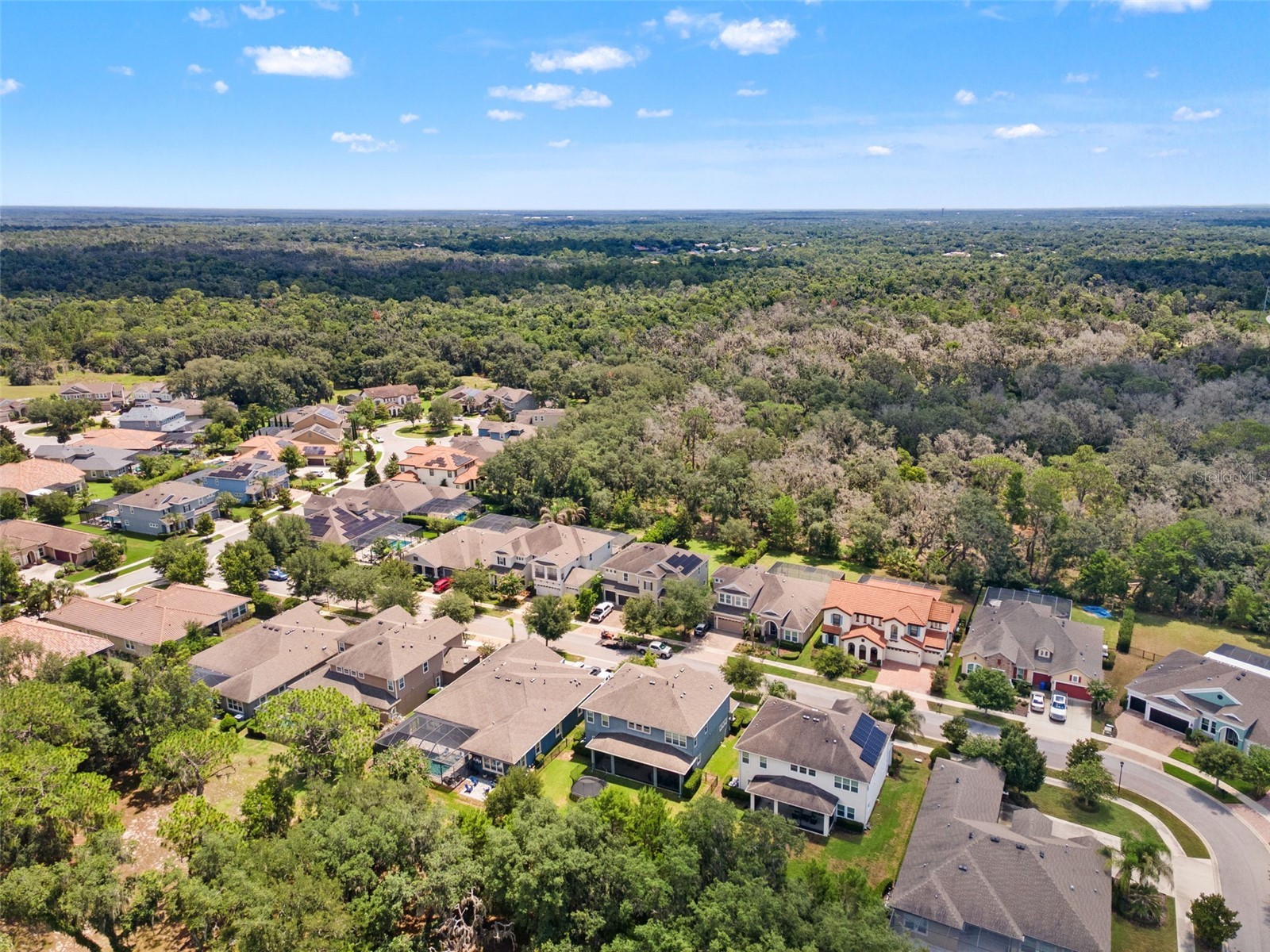 6334 Knob Tree Drive Lithia FL 33547 TB8522931 image8