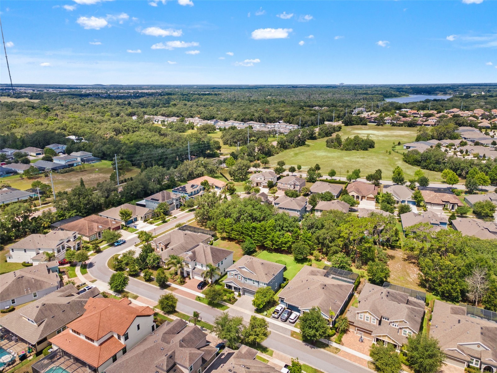 6334 Knob Tree Drive Lithia FL 33547 TB8522931 image80