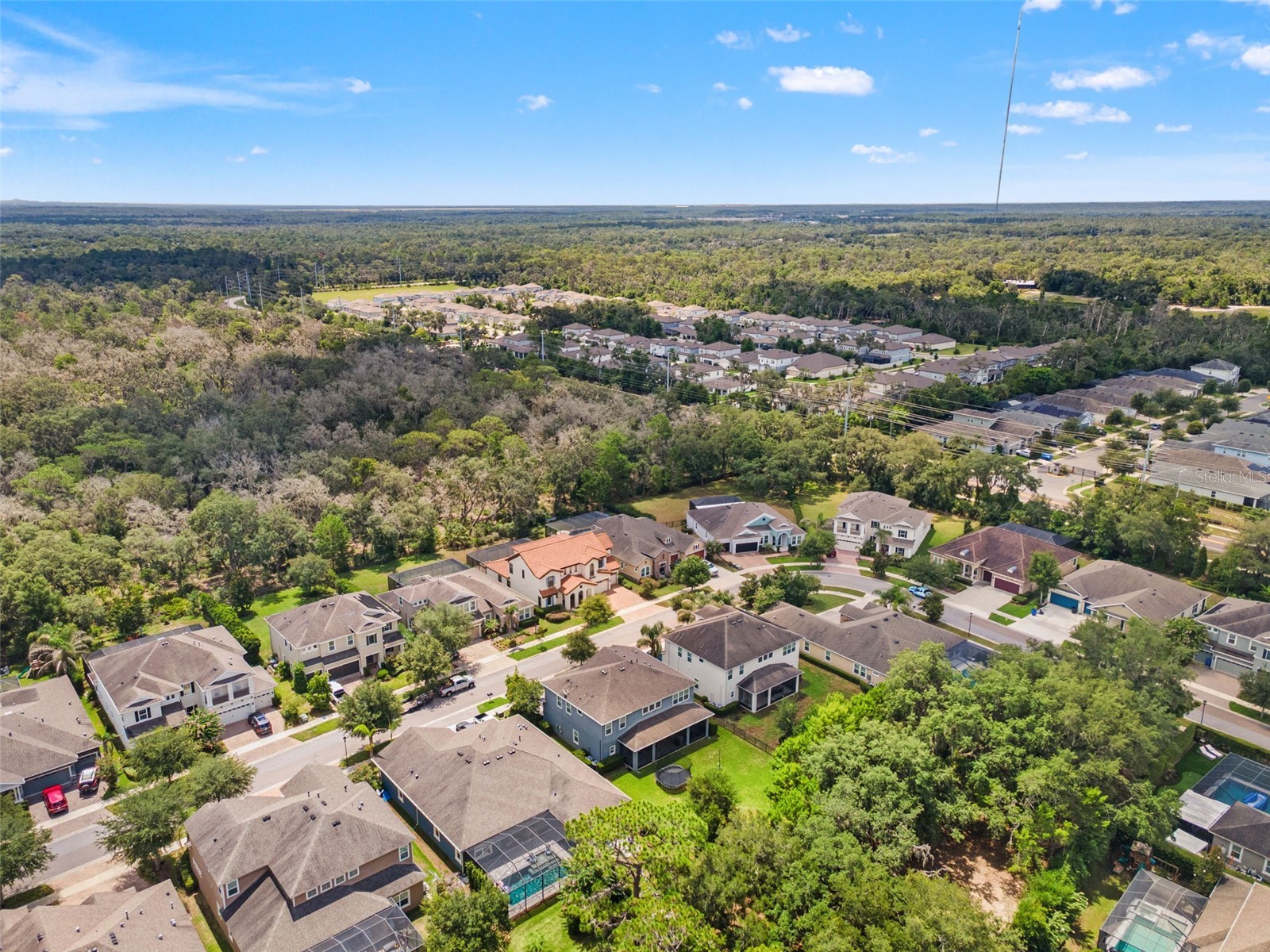 6334 Knob Tree Drive Lithia FL 33547 TB8522931 image81