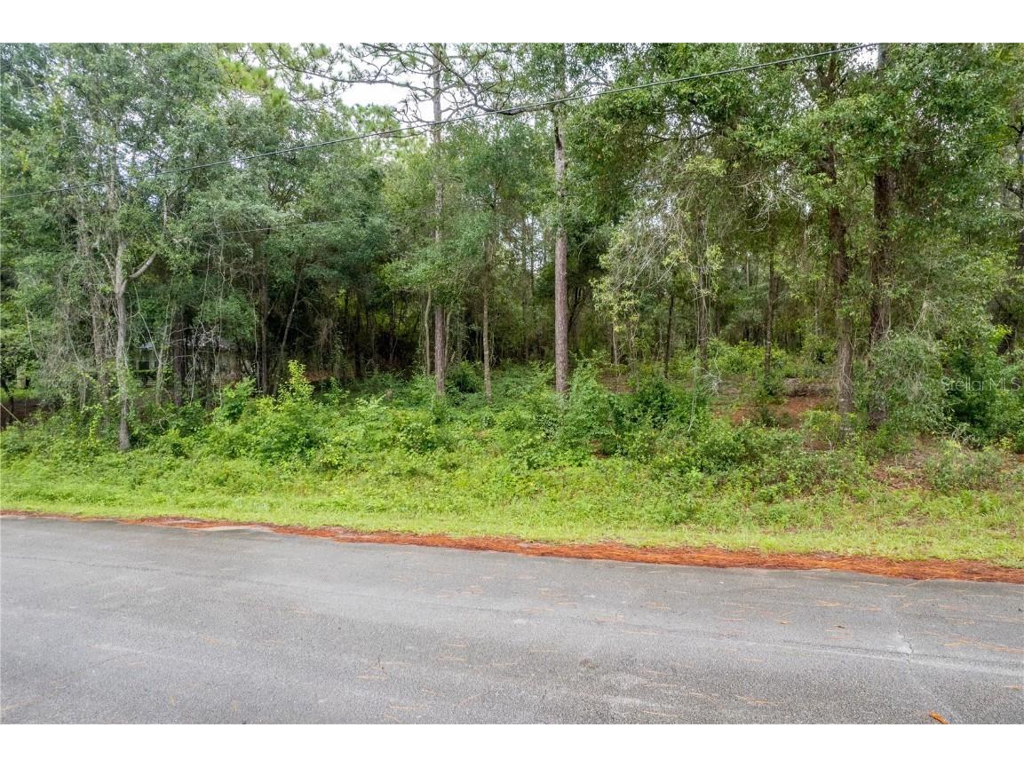 6334 Little Lake Geneva Road Keystone Heights FL 32656 GC515469 image1