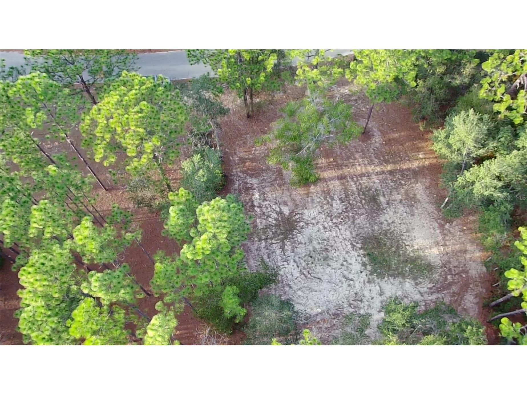 6334 Little Lake Geneva Road Keystone Heights FL 32656 TB8459531 image1