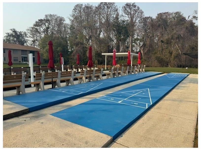 6334 Spring Flower Drive #14 New Port Richey FL 34653 TB8431042 image19