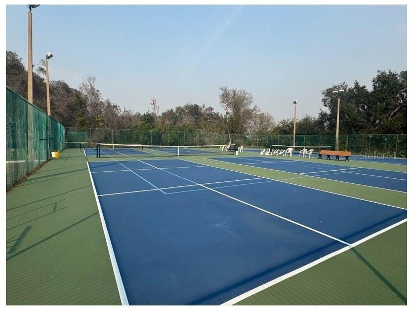 6334 Spring Flower Drive #14 New Port Richey FL 34653 TB8431042 image21