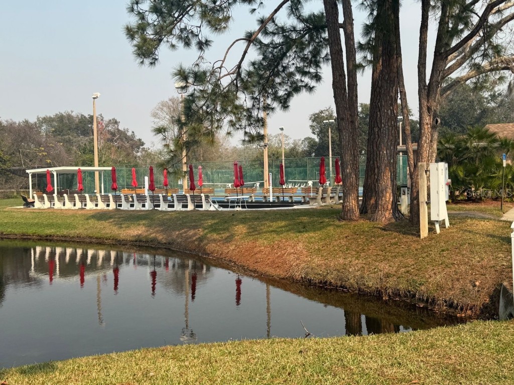 6334 Spring Flower Drive #14 New Port Richey FL 34653 TB8431042 image22