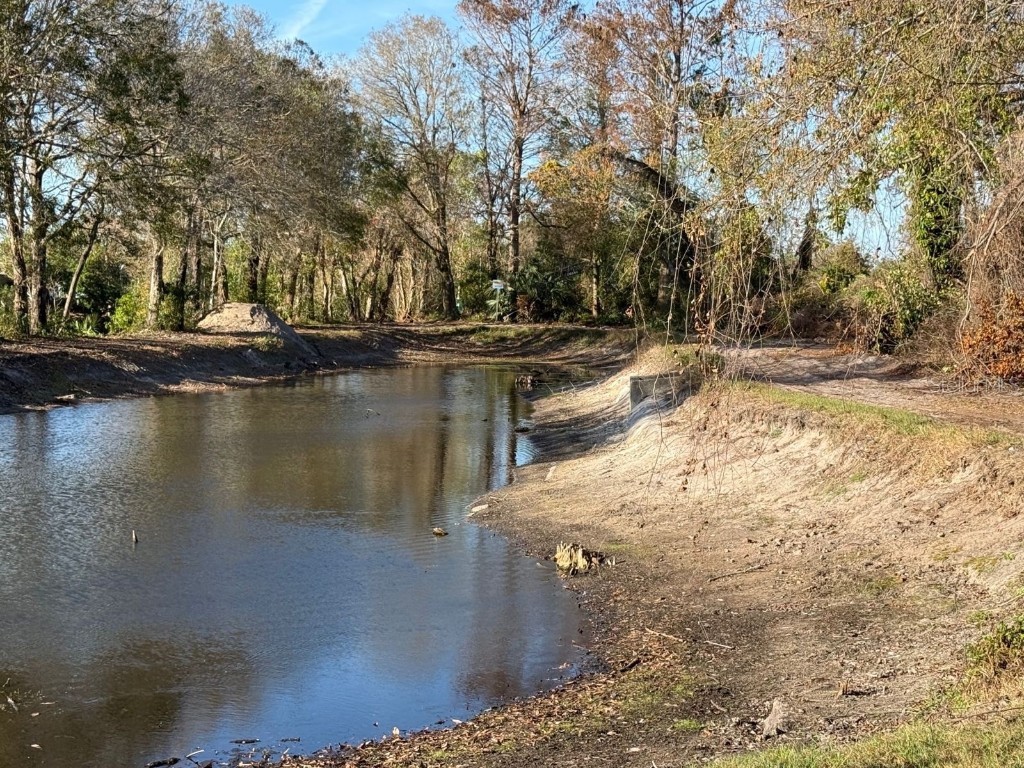 6334 Spring Flower Drive #14 New Port Richey FL 34653 TB8431042 image25