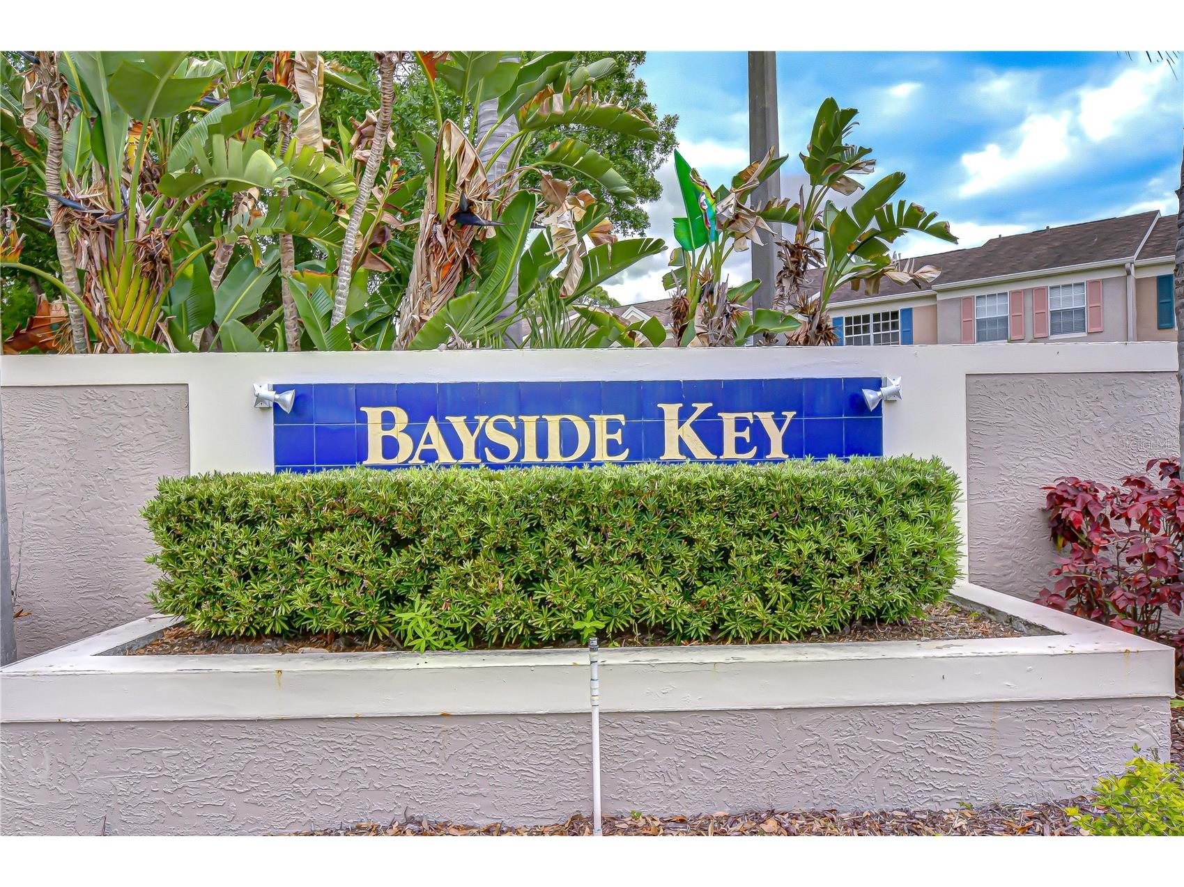 6335 Bayside Key Drive Tampa FL 33615 TB8501204 image37