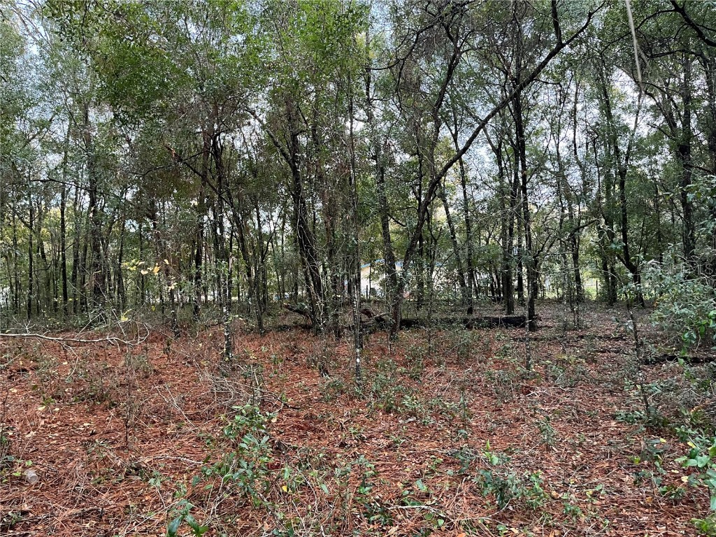 6335 Drake Avenue Keystone Heights FL 32656 OK222182 image1