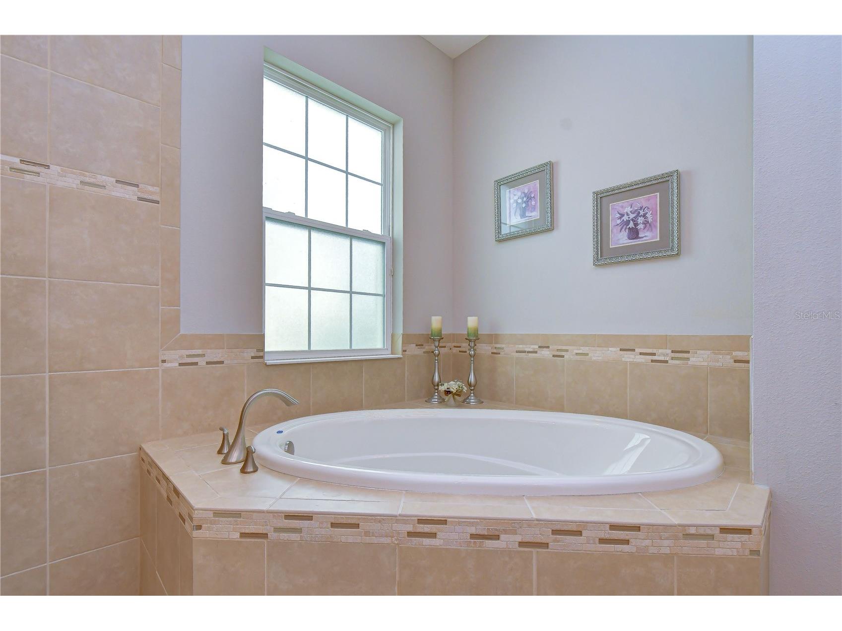 6335 Knob Tree Drive Lithia FL 33547 TB8515838 image24