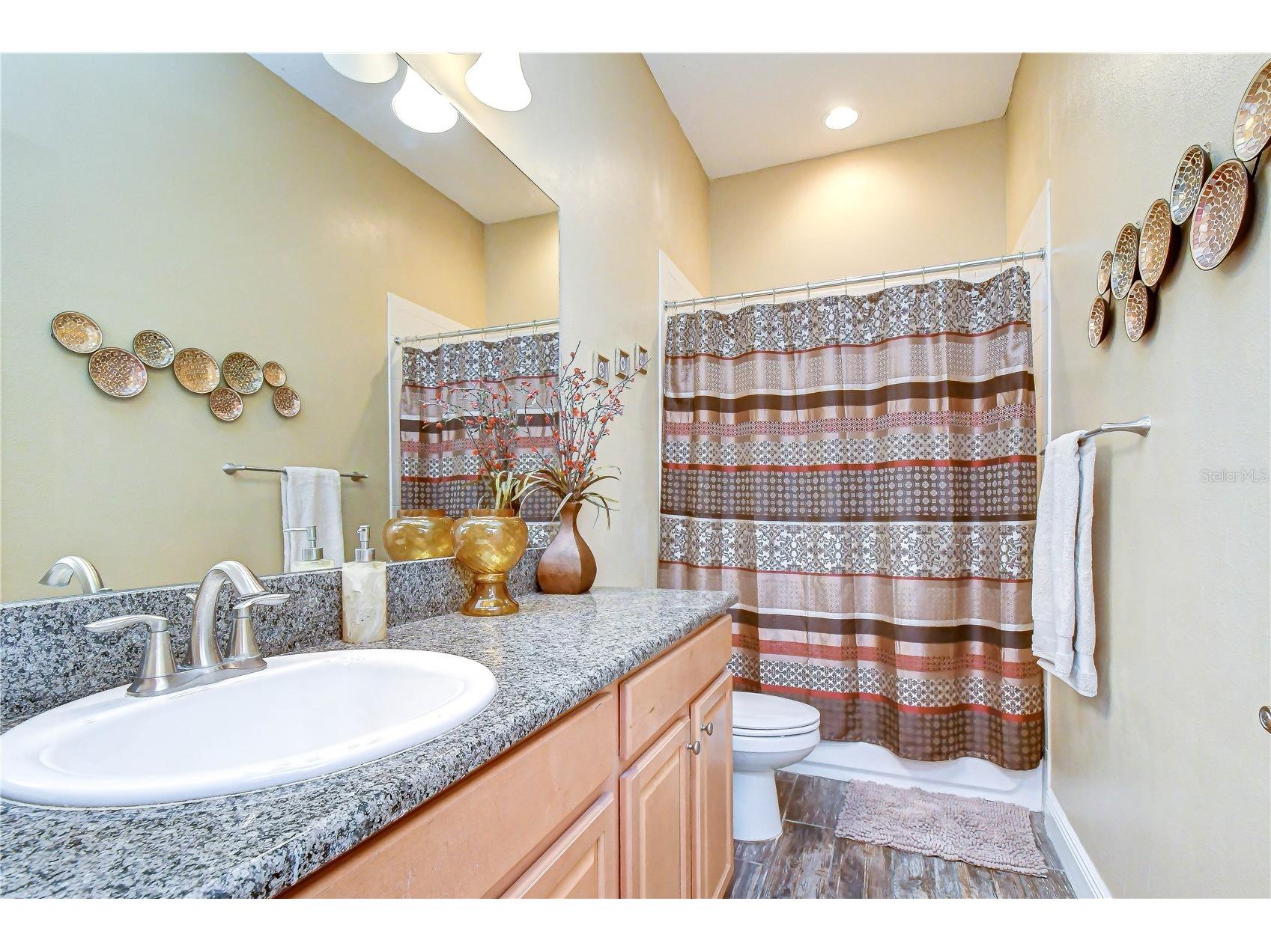 6335 Knob Tree Drive Lithia FL 33547 TB8515838 image28