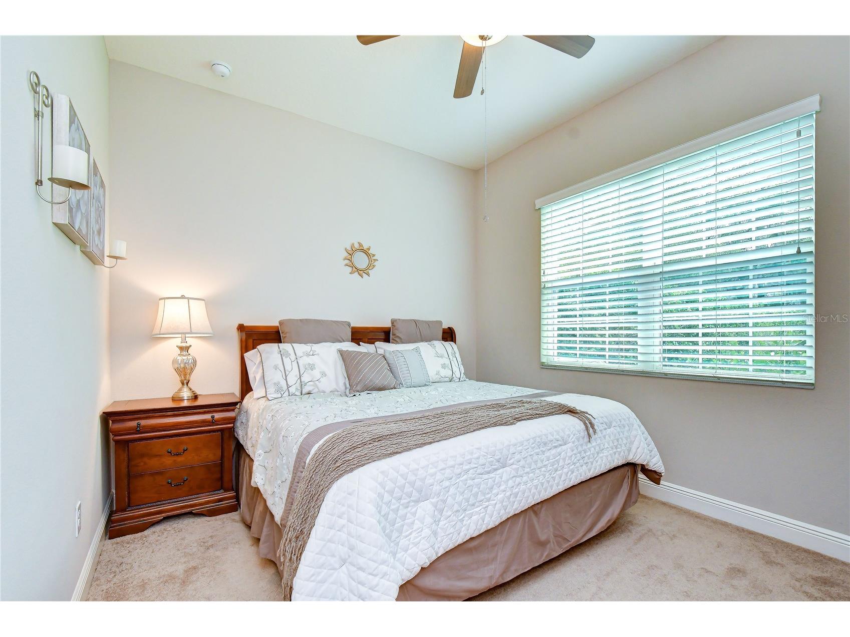 6335 Knob Tree Drive Lithia FL 33547 TB8515838 image29