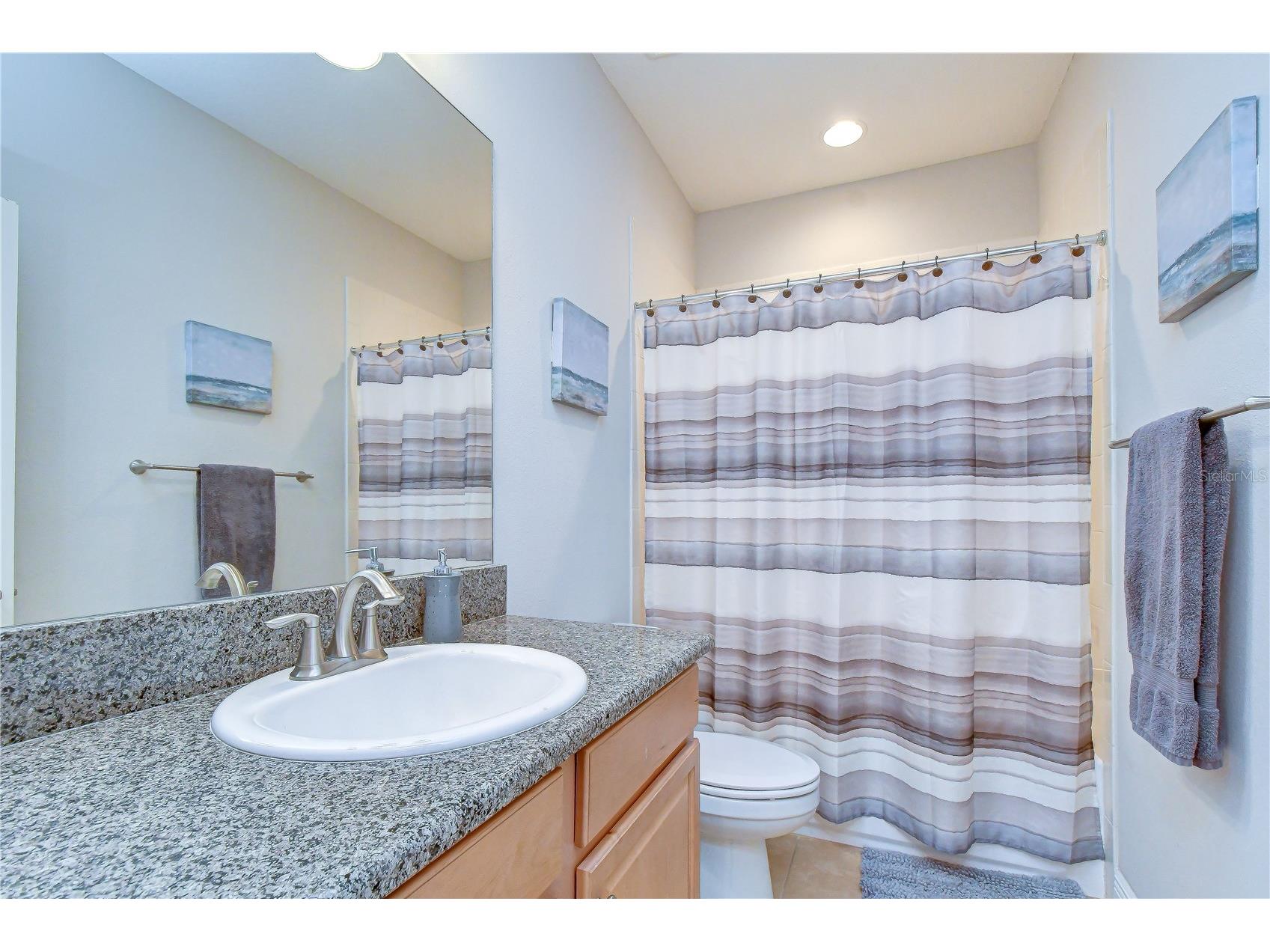 6335 Knob Tree Drive Lithia FL 33547 TB8515838 image37