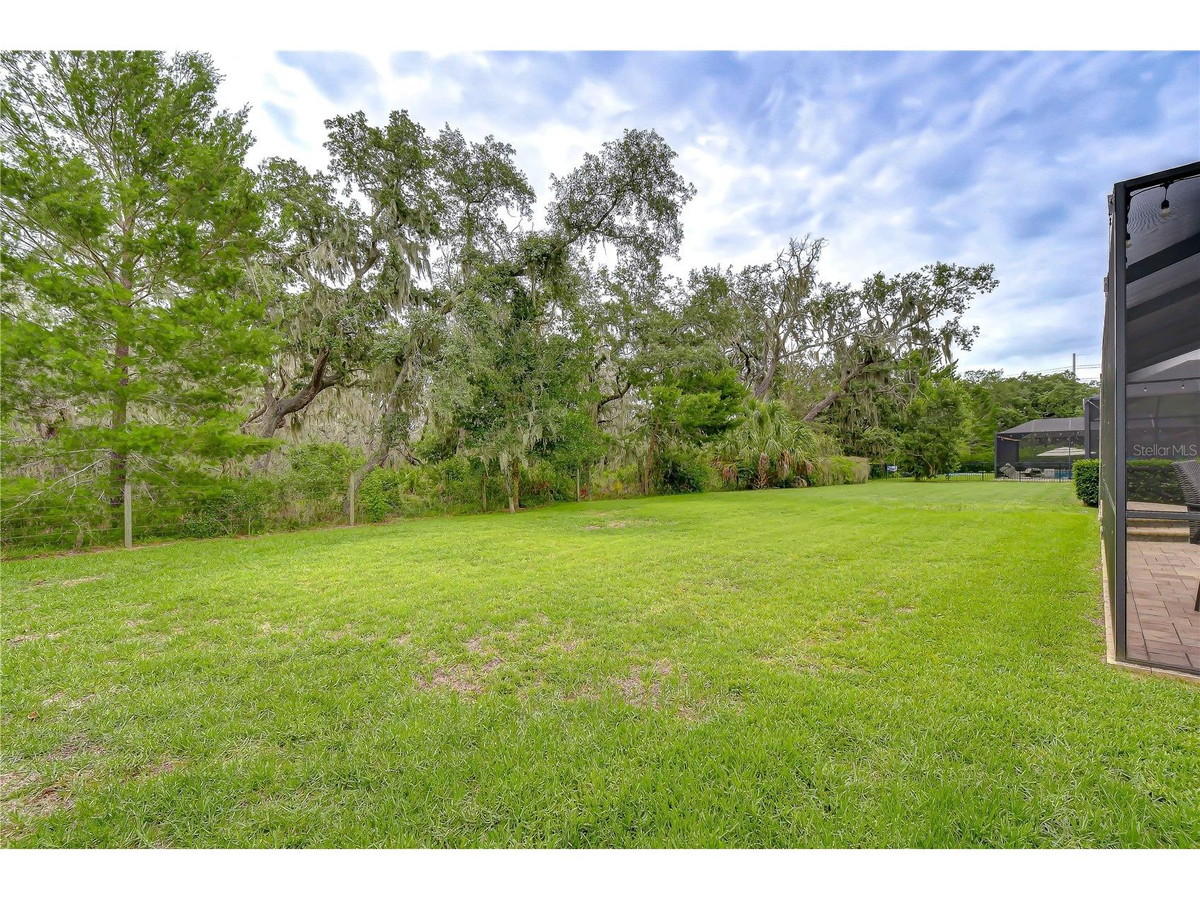 6335 Knob Tree Drive Lithia FL 33547 TB8515838 image43