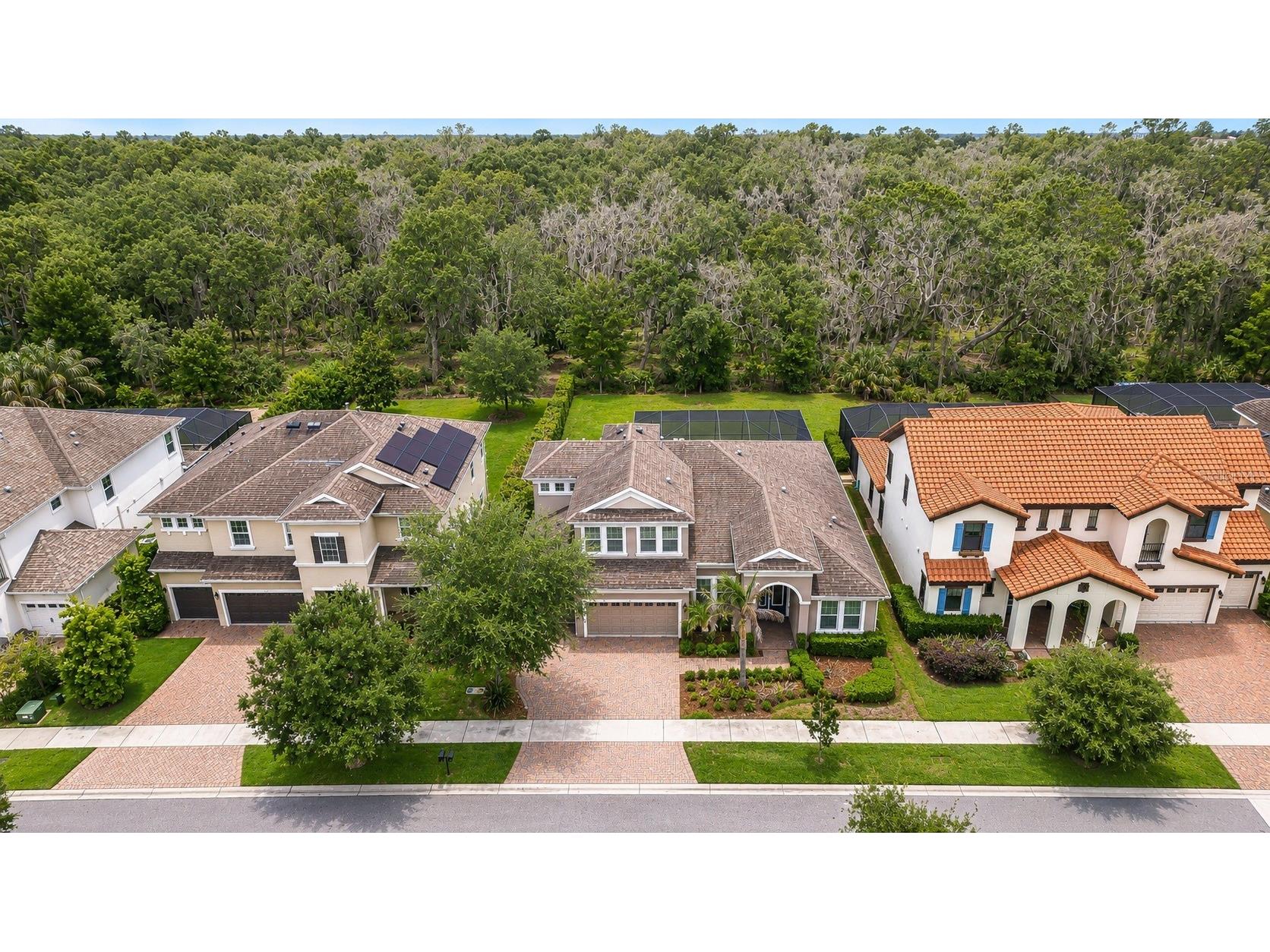6335 Knob Tree Drive Lithia FL 33547 TB8515838 image44