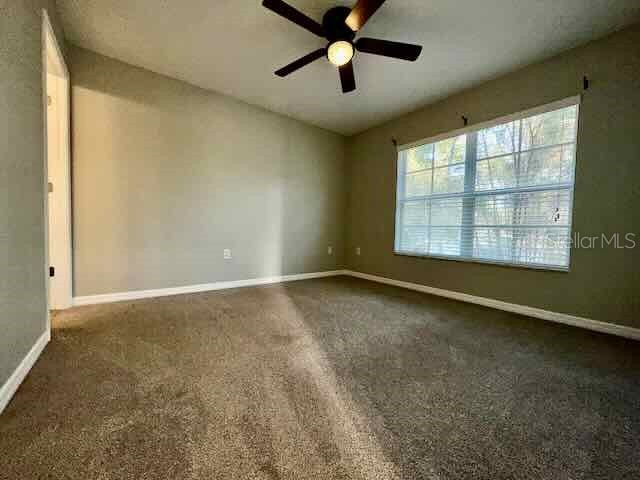 6335 Maisie Road Zephyrhills FL 33542 TB8505747 image19