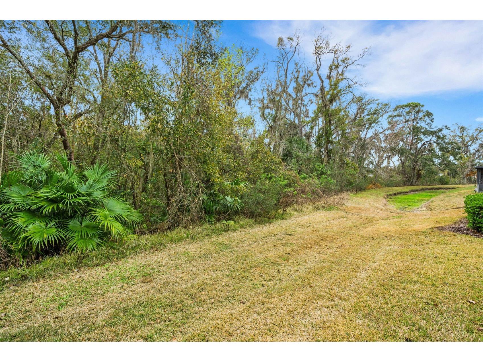 6335 Sedgeford Drive Lakeland FL 33811 L4959165 image25